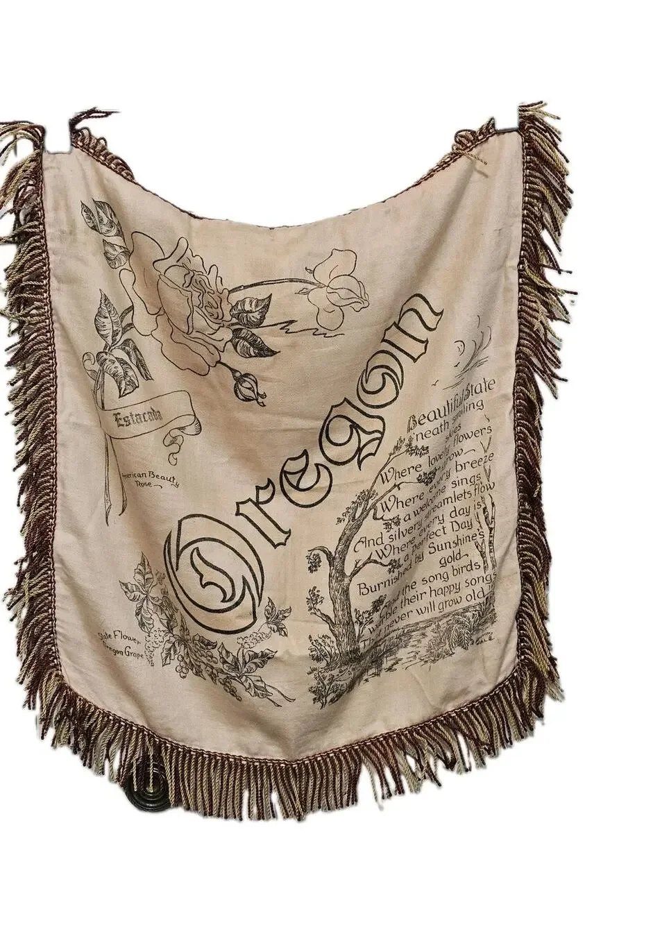 Vtg Oregon Souvenir Pillow Cover Case Fringe Estacada Rose Cream Satin Sham READ